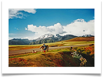 Peruvian Andes - Near Pisac - Richard Nicholls